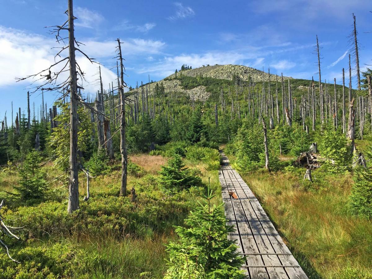 Ferienwohnung Fernblick Neukirchen vorm Wald Bagian luar foto