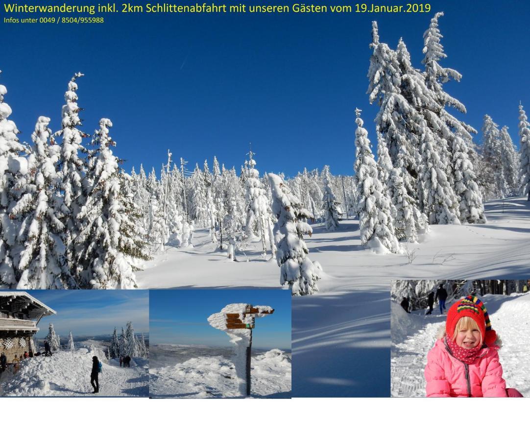 Ferienwohnung Fernblick Neukirchen vorm Wald Bagian luar foto